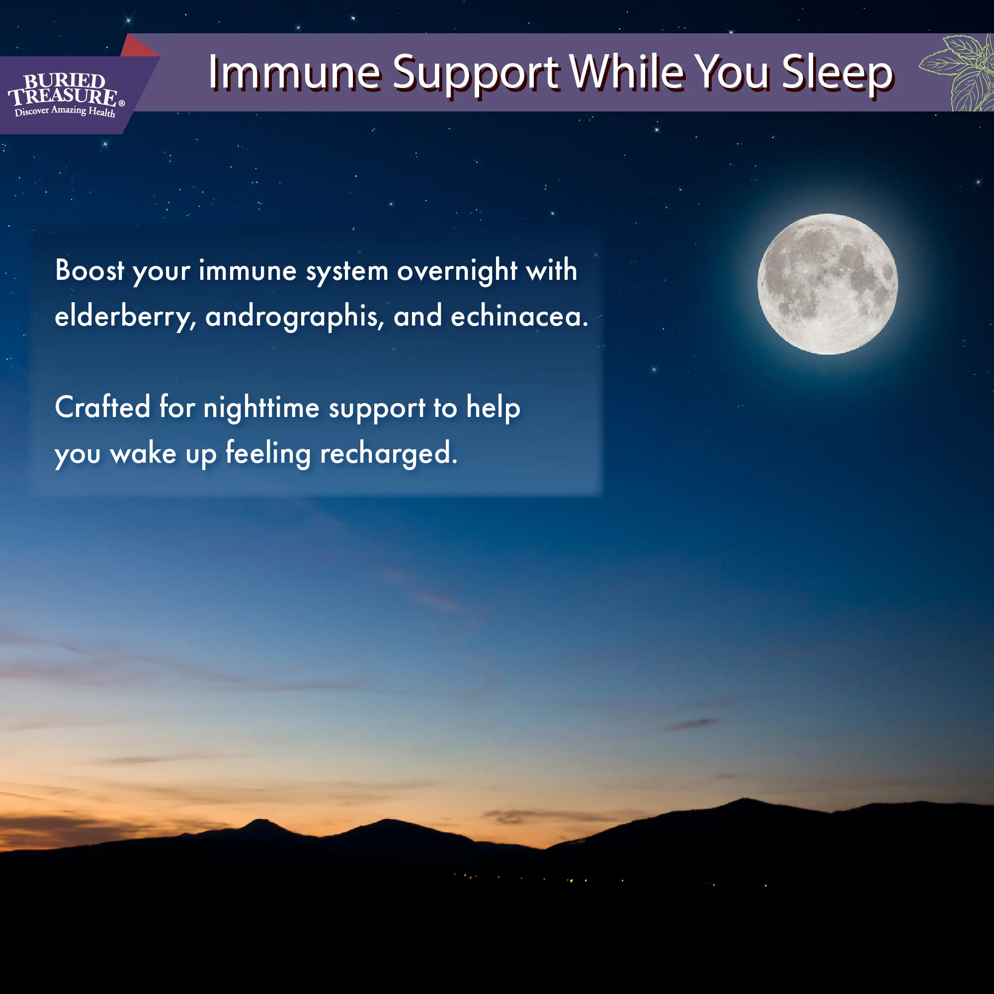 Buried Treasure Liquid Nutrients®  ACF PM Extra Strength – Liquid Sleep Support Supplement with Melatonin & Botanicals - Image 3