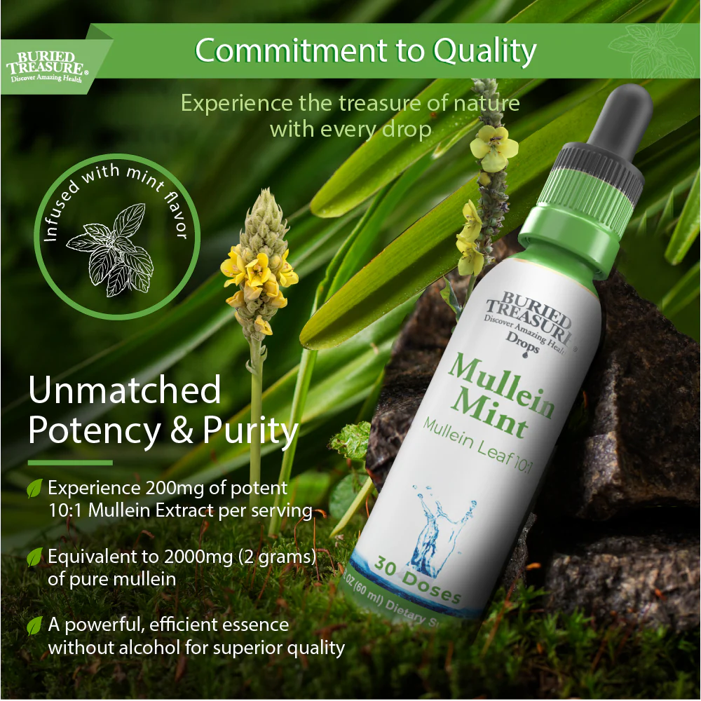 Buried Treasure Breathe Easy Bundle: Mullein Mint Drops + Zinc Complex - Image 3