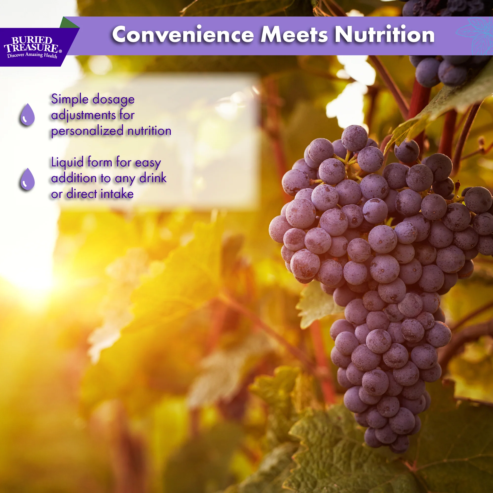 Fulvic Minerals Complex – Humic Shale-Derived Minerals, Grape Flavored, 32 Servings - Image 6