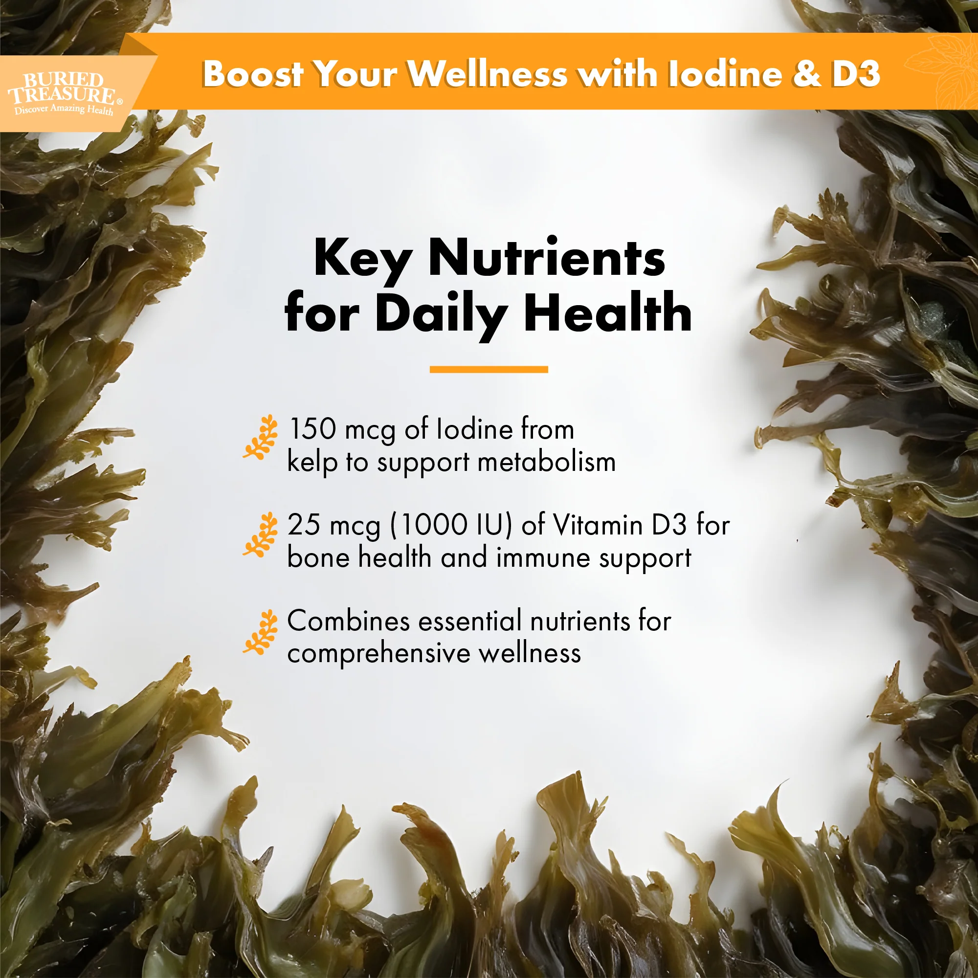 Iodine Drops with Kelp – Natural Liquid Supplement, 120 Servings - Image 3