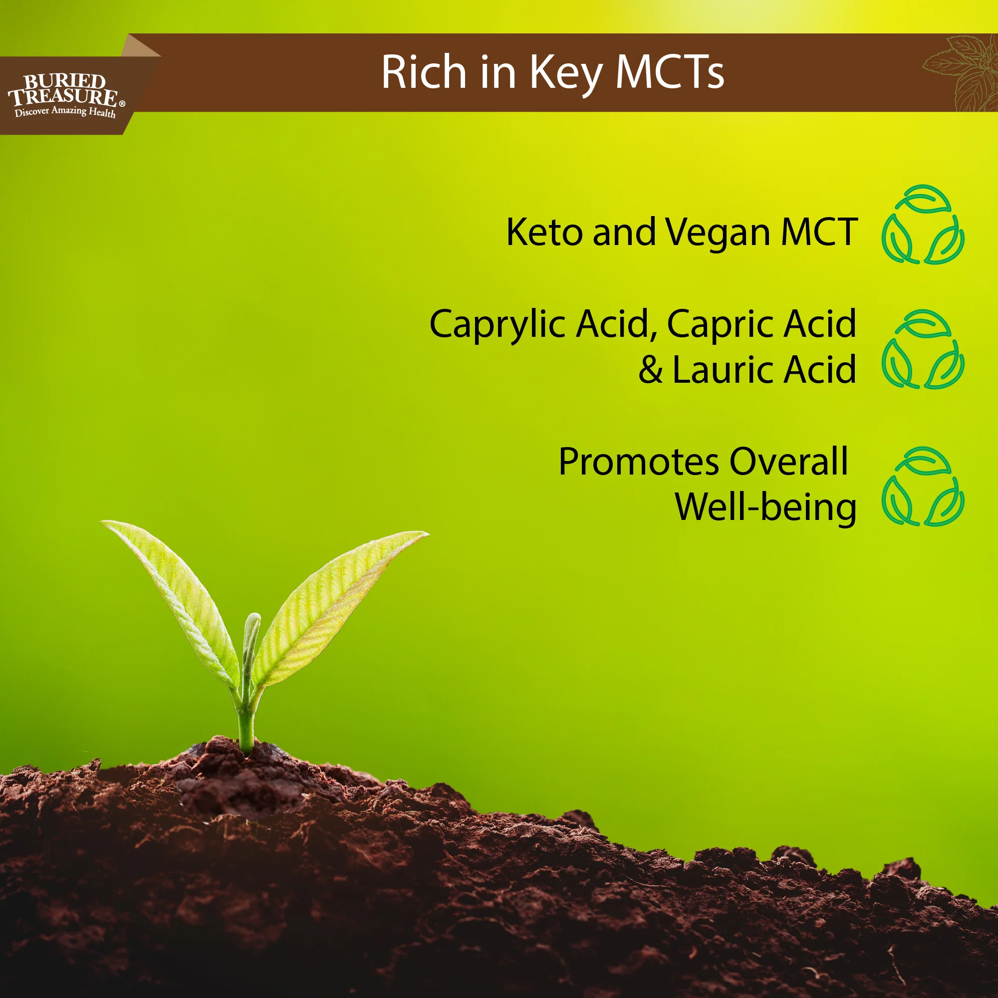 MCT Oil – Vegan Medium-Chain Triglycerides from Coconuts,96 Servings - Image 7