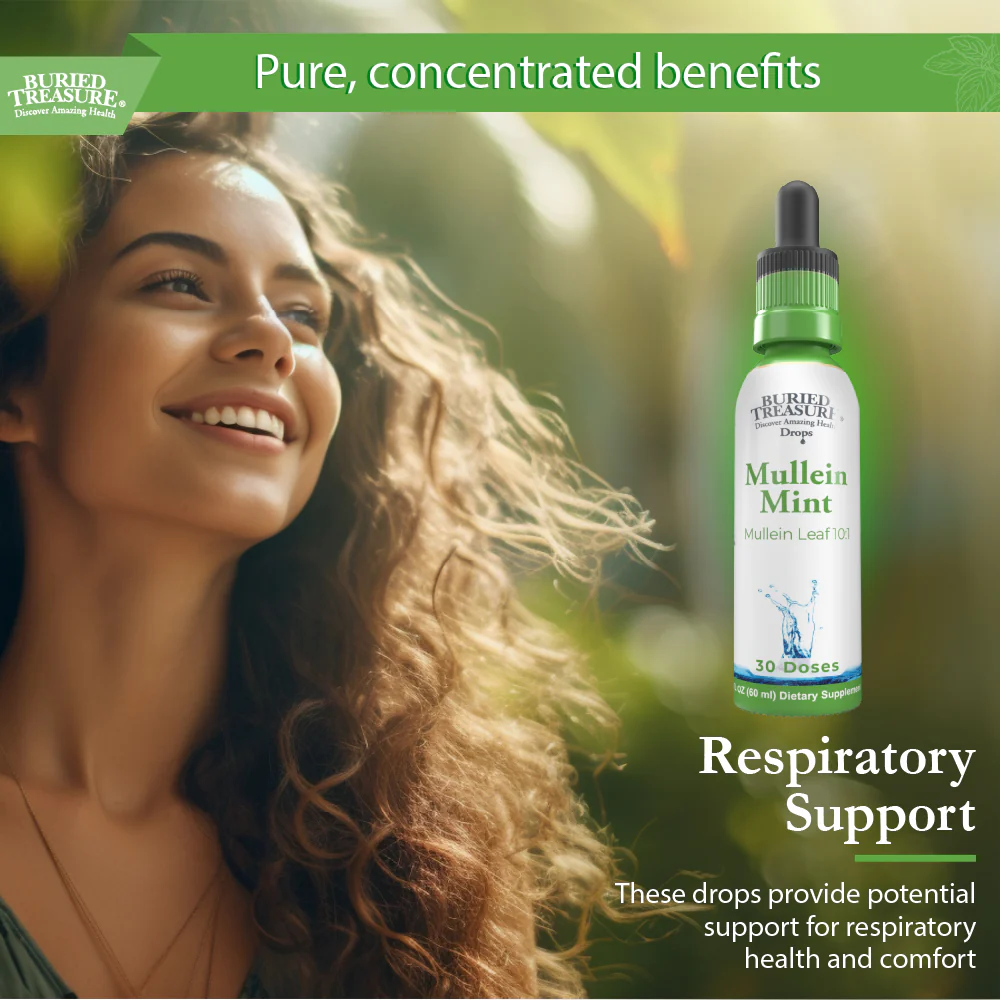 Buried Treasure Liquid Nutrients Mullein Drops with 200mg 10:1 Extract, Alcohol-Free Liquid Dietary Supplement - Image 5